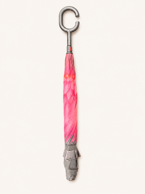 Car umbrella